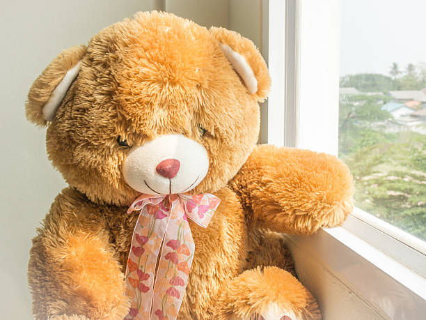 istock Brown bear sitting side of the window 577327000