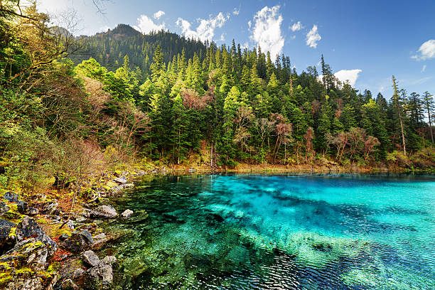 istock The Five Coloured Pool with azure water among wooded mountains 577328176