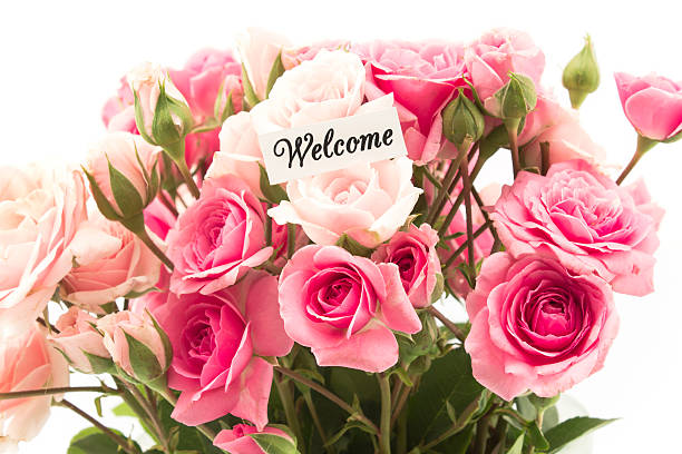 istock Welcome Card with Bouquet of  Pink Roses 577328456