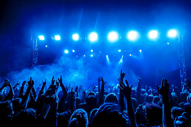 Concert Crowd Silhouettes of crowd at a rock concert performance group photos stock pictures, royalty-free photos & images