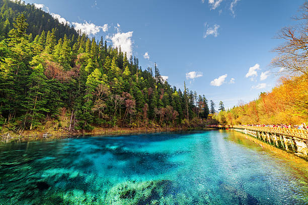 istock Fantastic view of the Five Coloured Pool (the Colorful Pond) 577334216