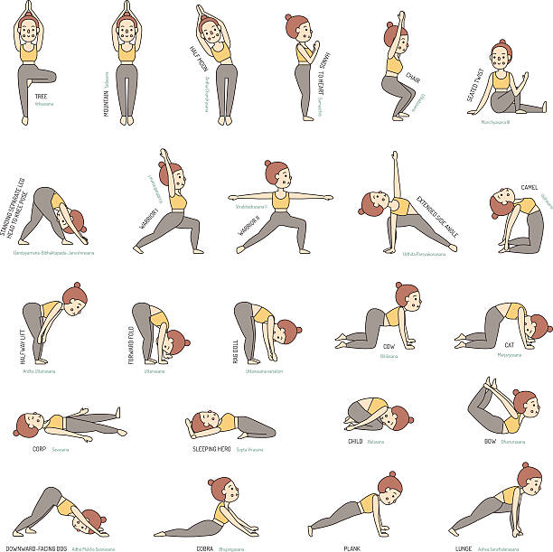 Yoga basic poses with names young woman vector set. Yoga basic poses with names multicolored vector set with young woman (girl). Clean and simple outline design. snake names stock illustrations