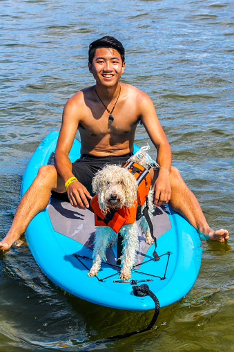 Man sits on a paddleboard with a cute dog