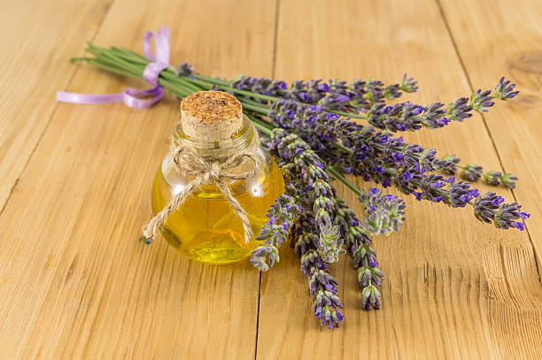 istock Lavender oil with fresh flower branches 577335678