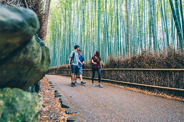 istock Bamboo forest is a must see landmark in Kyoto 577336786