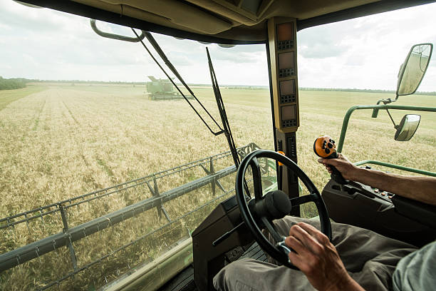 agricoltore al volante della mietitrice сombine sul campo di grano - seed human hand wheat cereal plant foto e immagini stock