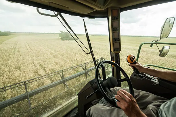 Farmer at steering wheel of сombine harvester on a wheat field