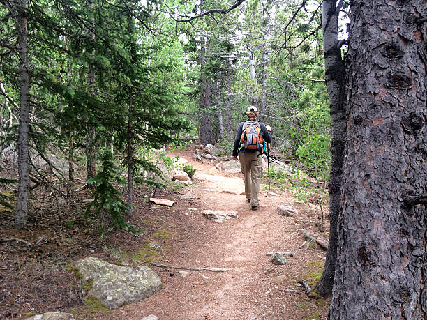 excursionista masculino a lo largo de un sendero de montaña en un bosque - usa action adventure aspen tree fotografías e imágenes de stock
