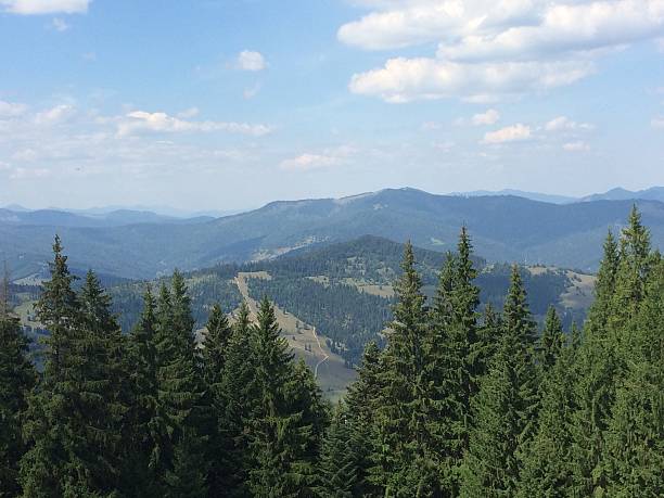 istock Ceahlau Mountains, View over mountains through the tall fir trees 577343540