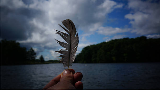 istock Holding Up a Feather at the Lake 577343968