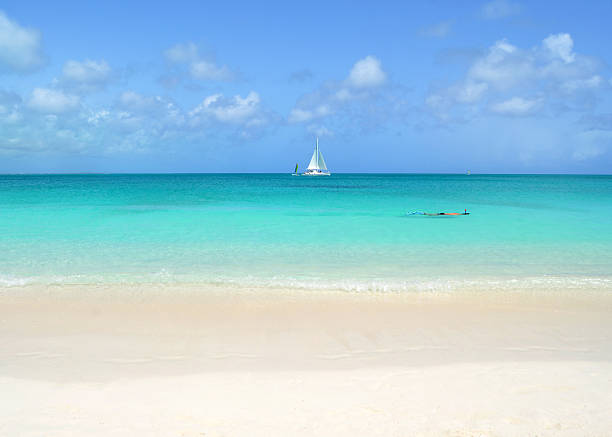 plongée en apnée dans les îles turques et caïques - providenciales photos et images de collection