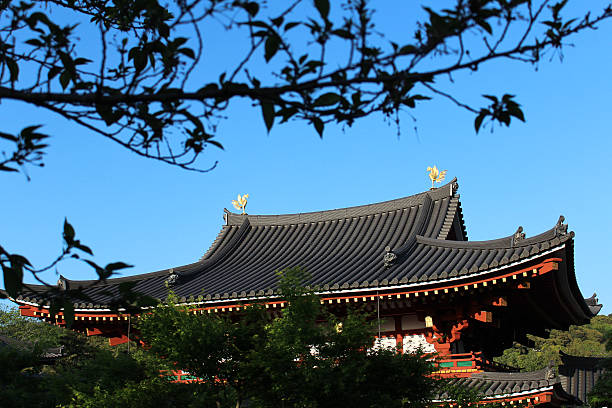 The Phoenix Hall of Byodo-in Temple in Kyoto, Japan Kyoto, Japan - April 22, 2016: Byodo-in temple is a striking example of Buddhist Pure Land (Jodo) architecture. Called as Phoenix Hall because its shape and the two phoenix statues on its roof. heian period stock pictures, royalty-free photos & images