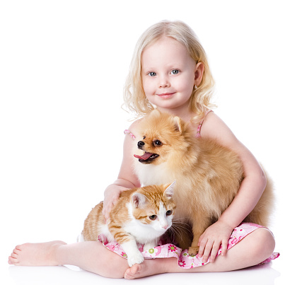 girl playing with pets - dog and cat.  isolated on white background