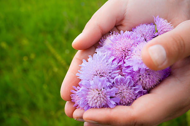 istock Hands holding bunch of flowers, grass background 577618802