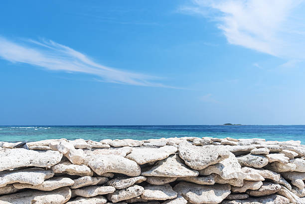 istock Coral stone wall and blue sky background 577621118