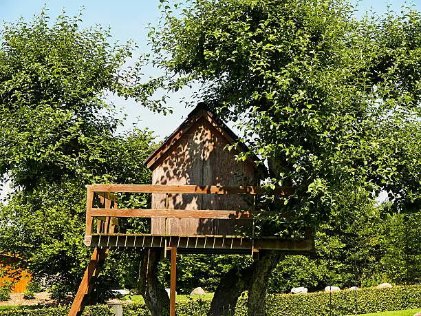 Photo of Beautiful creative tree house