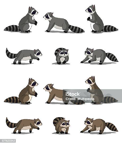 Raccoon Isolated On White Background Stock Illustration - Download Image Now - Raccoon, Animal, Animal Body Part