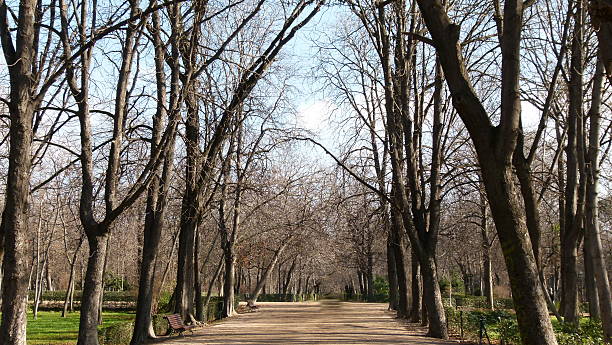 istock The Retreat Park 577624826