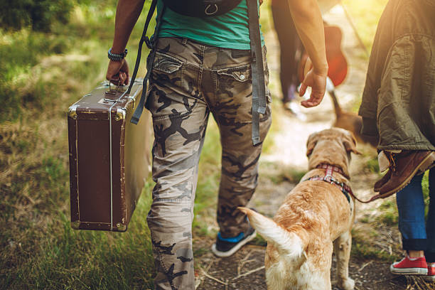 istock Young couple travelling with dog 577625144