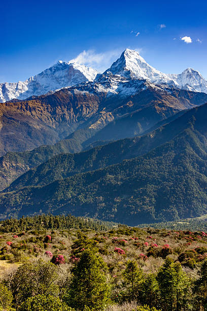 istock The Annapurna South in Nepal 577625812