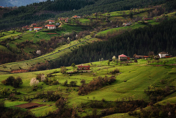 istock Borovitsa village in the spring, Eastern Rhodopes, Bulgaria 577629902