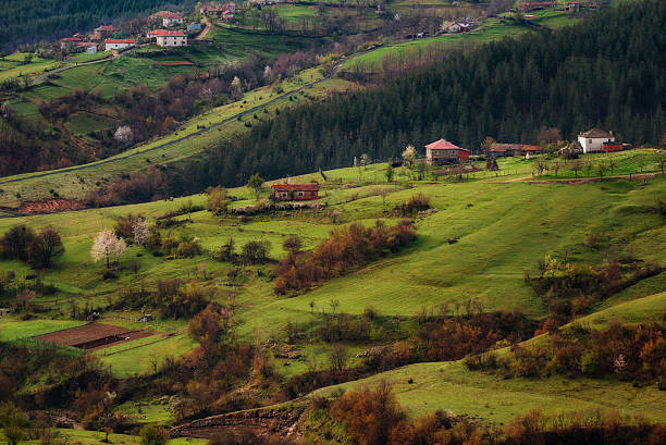 istock Borovitsa village in the spring, Eastern Rhodopes, Bulgaria 577630250