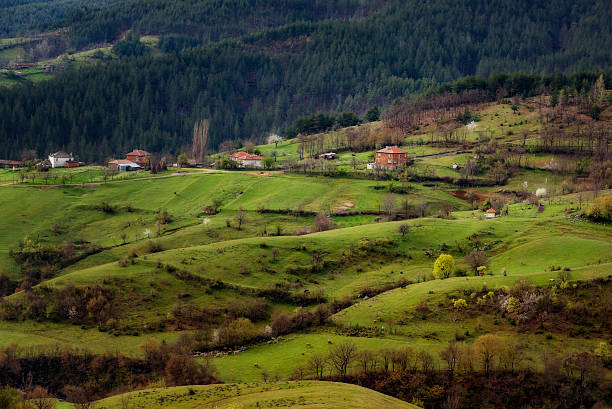 istock Borovitsa village in the spring, Eastern Rhodopes, Bulgaria 577631298