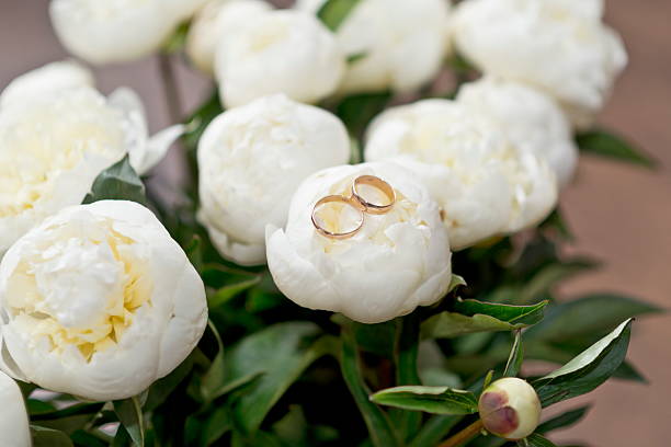 wedding rings on a white peony flowers. - wedding anticipation togetherness wedding ring imagens e fotografias de stock