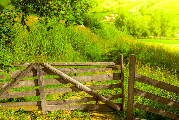 istock Wooden fence with opened gate 577632624