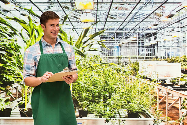 istock Smiling florist standing in greenhouse and working 577633438