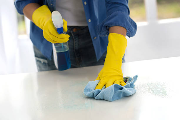 istock Worth girl cleaning the table 577635748
