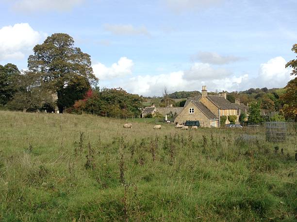 istock British countryside, the Cotswold 577635934