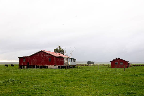 Westland, New Zealand: October 16, 2015: Farm outbuildings with traditional corrugated roofs in a rural location in New Zealand.
