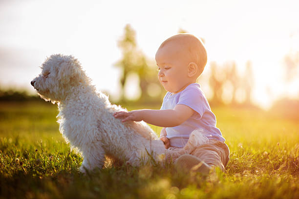 istock Happy baby boy playing with his dog 577641190