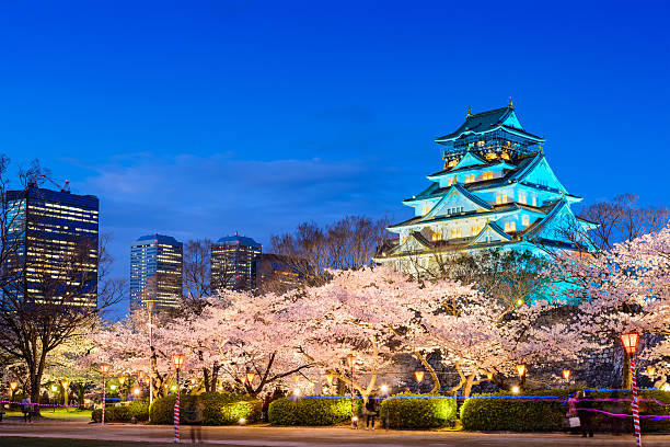 Osaka Castle in Spring Osaka, Japan - April 2, 2014: Tourists walk below Osaka Castle during the spring cherry blossom season. The original castle dates from 1583 and was most recently rebuilt in 1995. osaka prefecture stock pictures, royalty-free photos & images