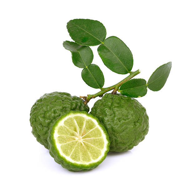 istock Fresh bergamot fruit with leaves on a white background. 577645456