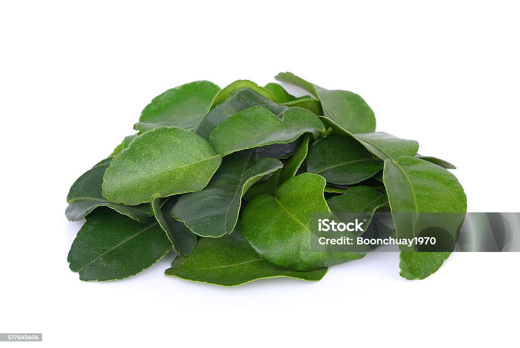 pile of bergamot leaves on white background Aromatherapy Stock Photo