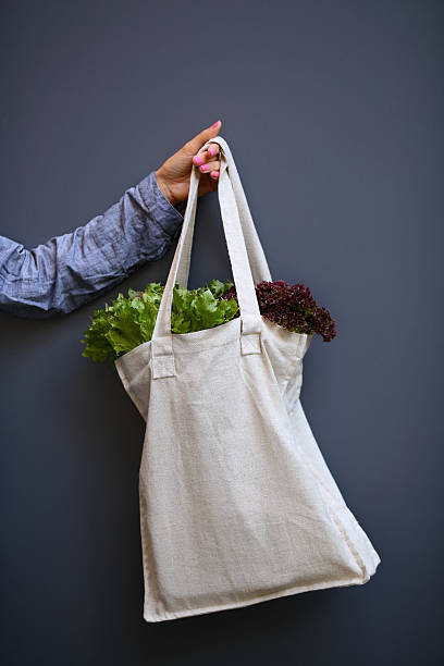 istock Linen Bag with Lettuce Salad in woman hand 577648556