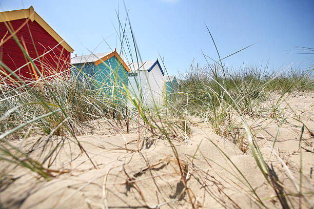 Southwold beach huts and sand dunes Beach huts and sand dunes on a bright, sunny, summers day in Southwold, England. east anglia stock pictures, royalty-free photos & images