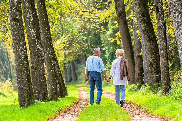 istock Senior couple having leisure walk in woods 577650018