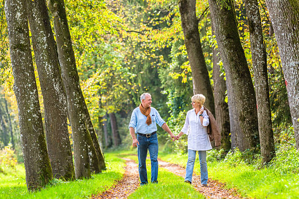 istock Senior couple having leisure walk in woods 577650140
