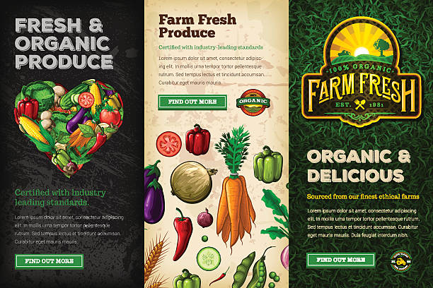 illustrazioni stock, clip art, cartoni animati e icone di tendenza di set di banner web fresh farm biologico - campo di pomodori