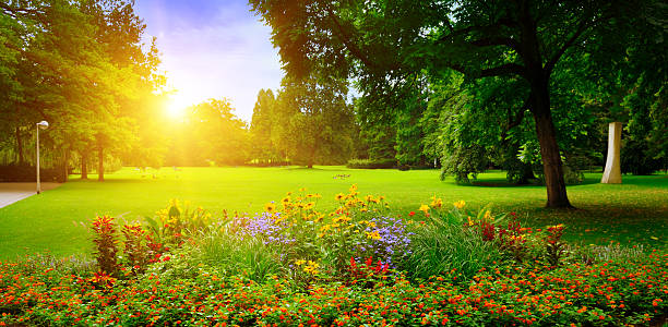 parc de l'été avec de magnifiques parterres colorés - sunlight summer grass landscaped photos et images de collection