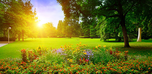 parque de verão com bela flowerbeds - sunlight summer grass landscaped imagens e fotografias de stock