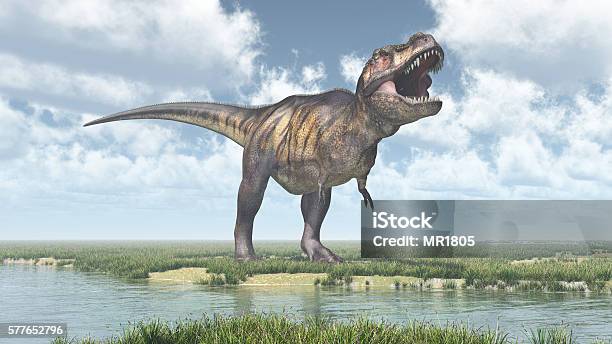 Tyrannosaurus Rex Stock Photo - Download Image Now - Tyrannosaurus Rex, Illustration, Three Dimensional