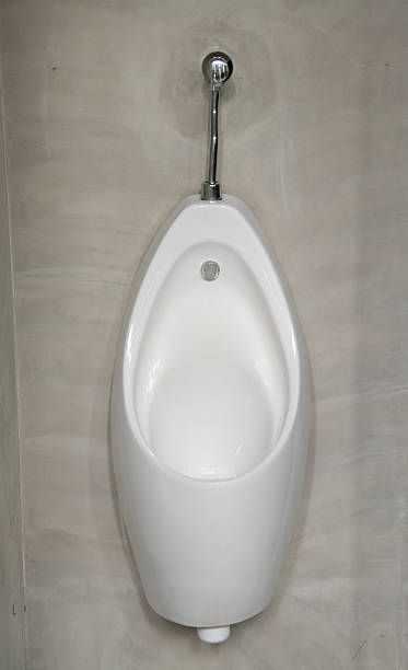 istock chamber pot in men public toilet. 577654424