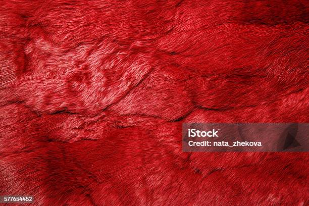 Closeup Of Lapin Fur For Texture Or Background Stock Photo - Download Image Now - Red, Animal Hair, Fur