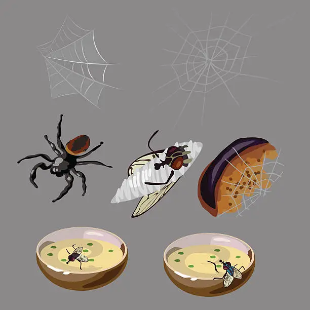 Vector illustration of Flies, spiders, rotten food and insects