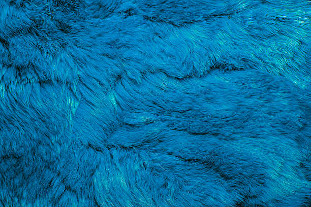 istock Close-up of lapin colored fur for texture background 577655838