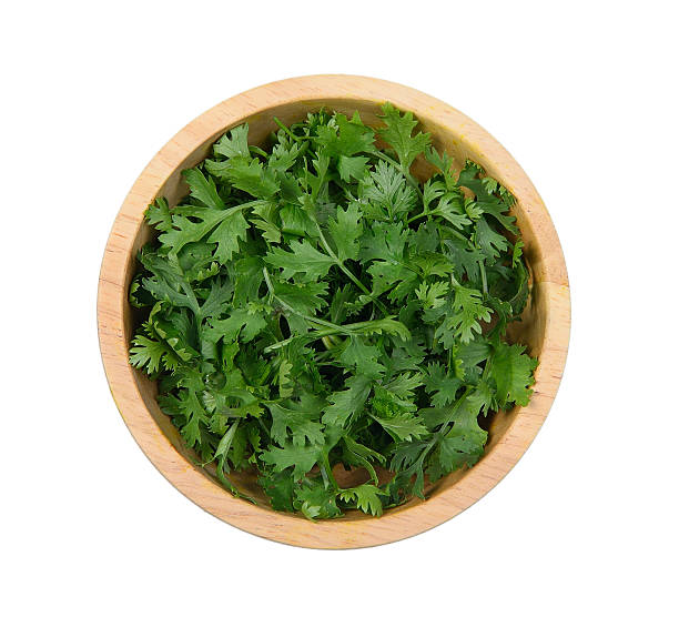 istock fresh coriander leaves in wooden bowl on white backg 577655964